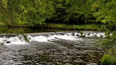 "O Melhor Natal de Portugal" - Vila Nova de Paiva